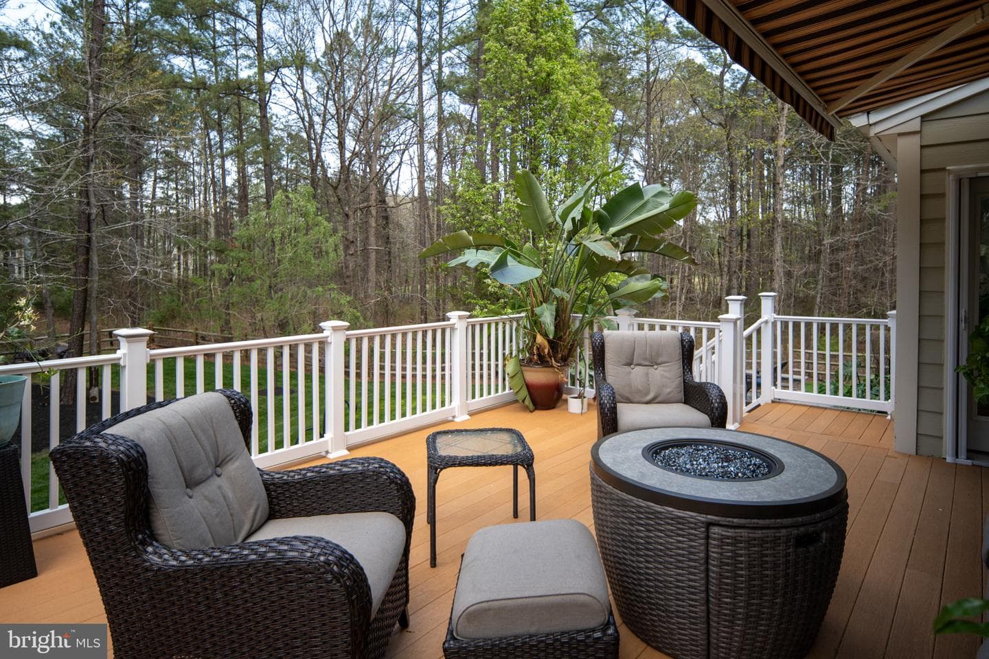 11613 Pine Hollow Lane photo 87