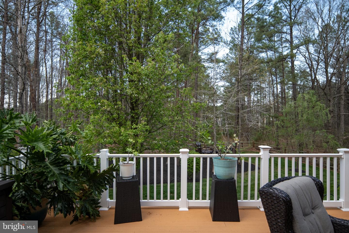 11613 Pine Hollow Lane photo 89