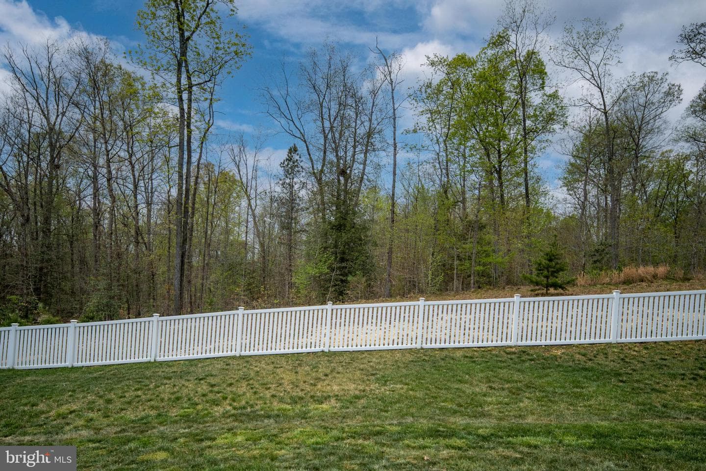 9104 Maple Run Drive photo 58