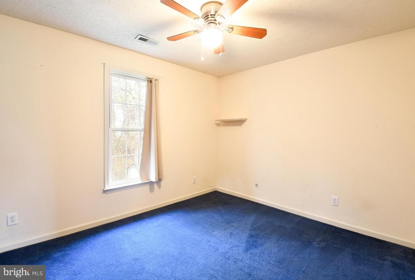 11500 Duchess Drive photo 20