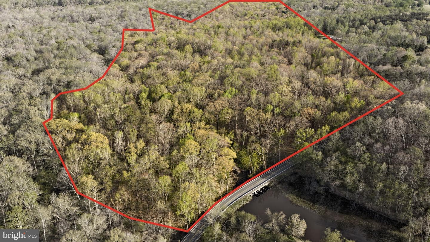 9401 Mill Pond Road photo 6
