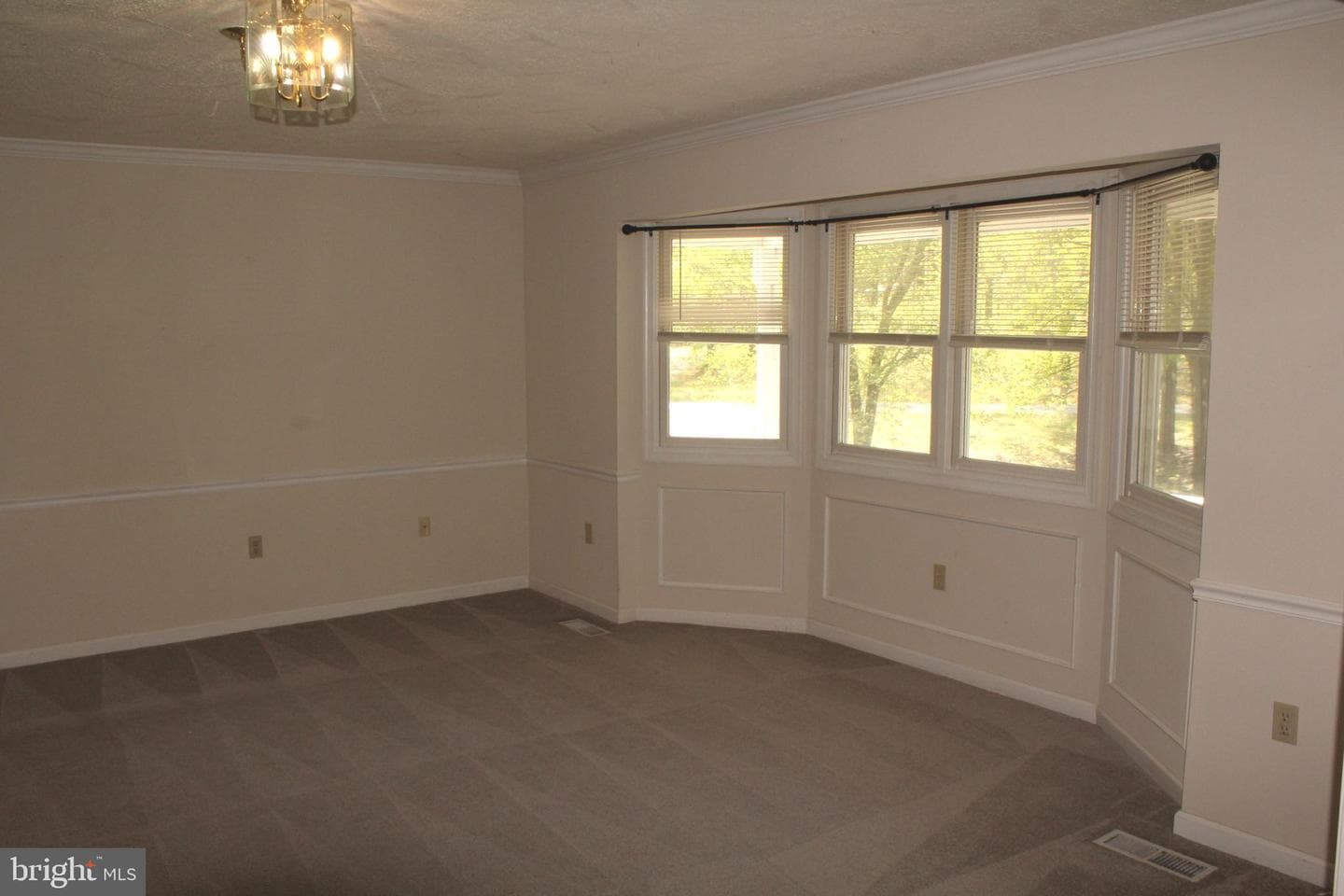 11301 Piney Forest Dr photo 50