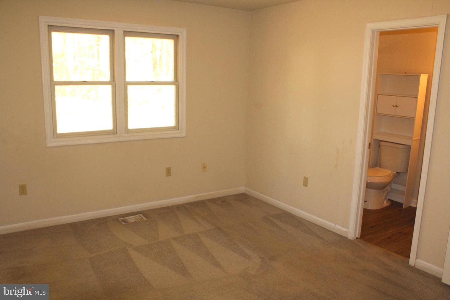11301 Piney Forest Dr photo 53