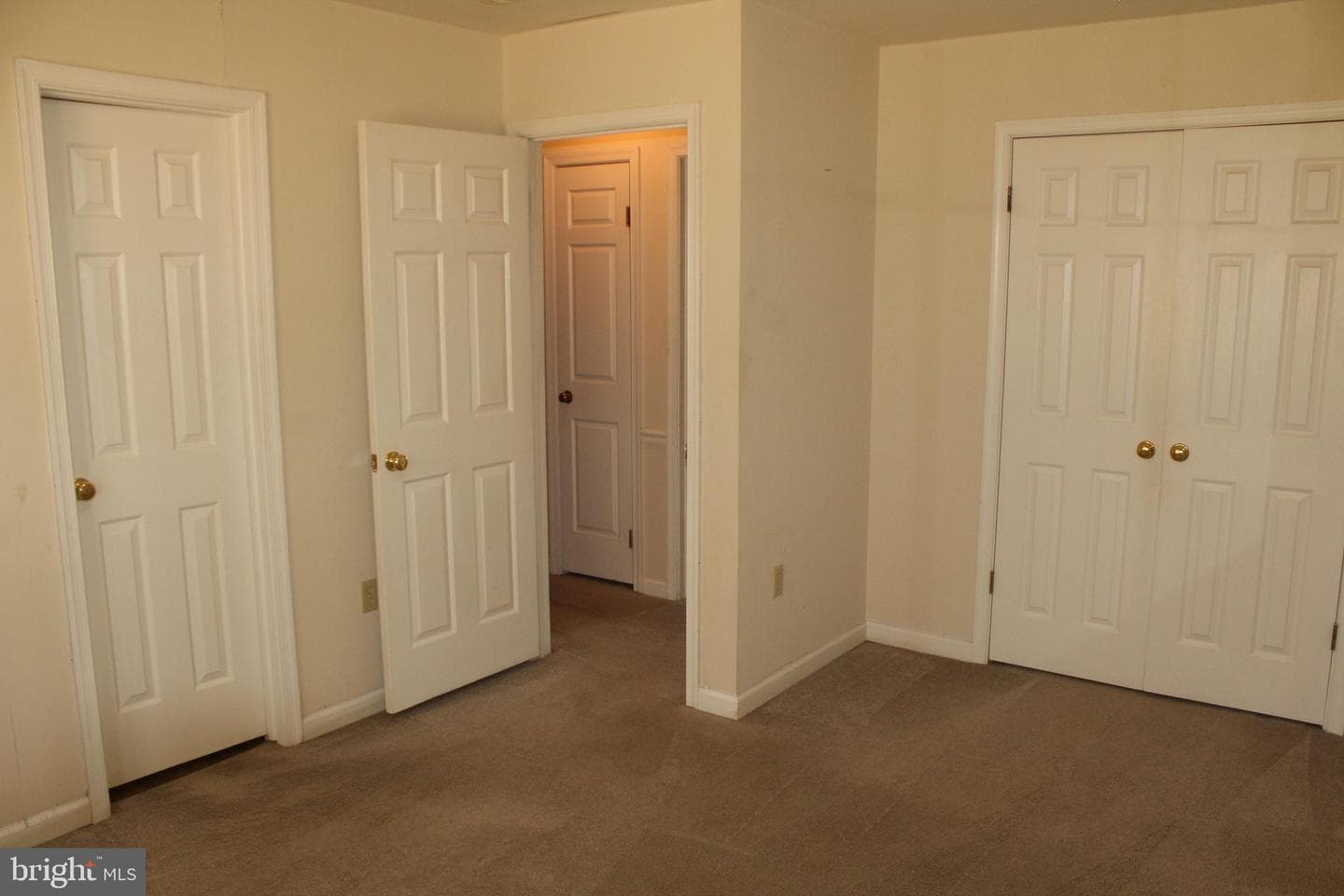 11301 Piney Forest Dr photo 54
