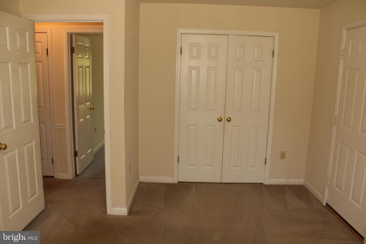 11301 Piney Forest Dr photo 55