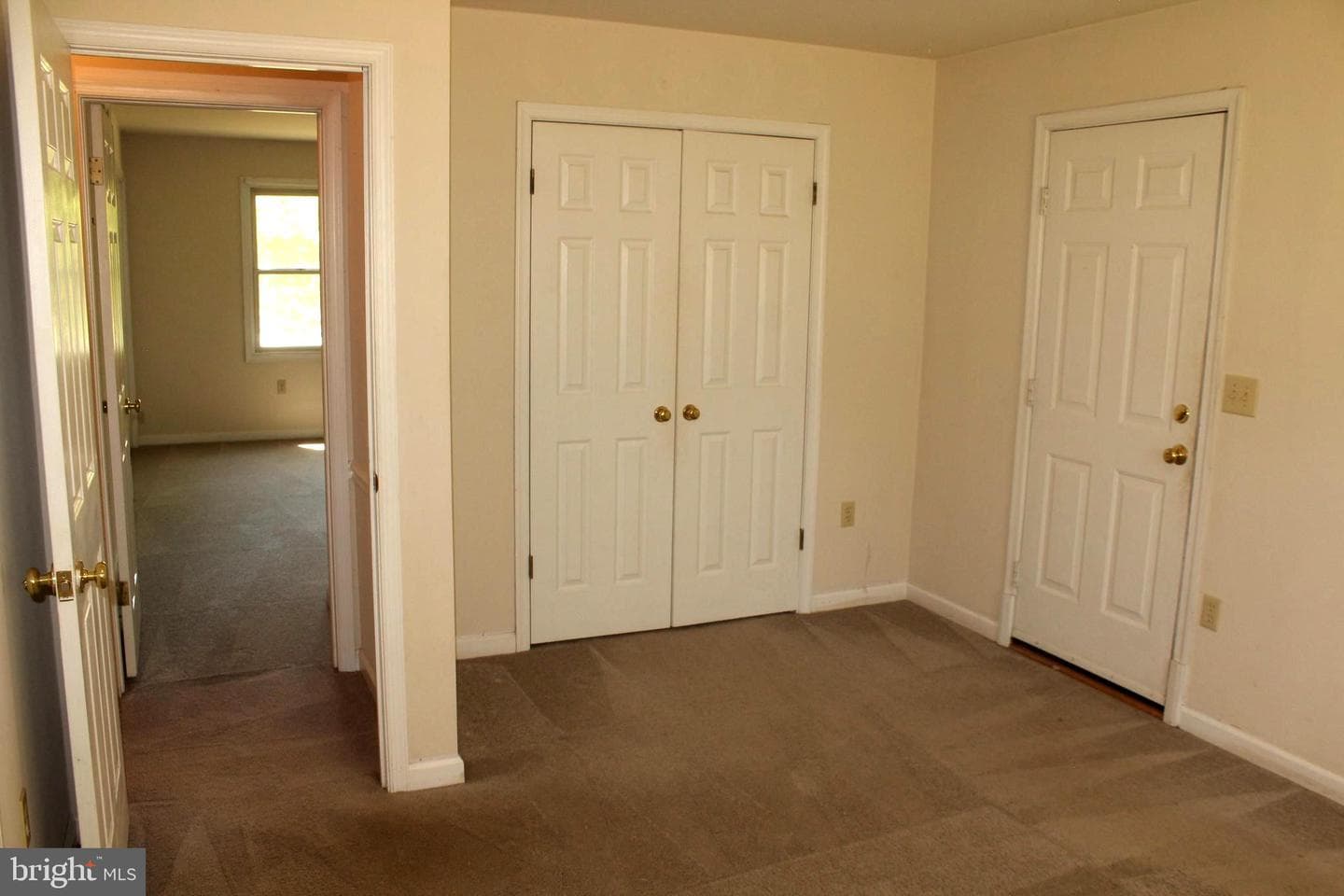 11301 Piney Forest Dr photo 56