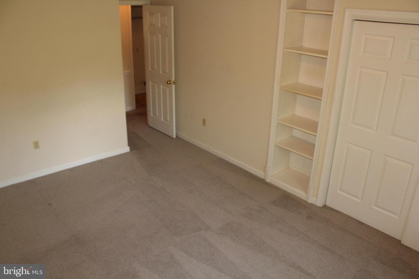 11301 Piney Forest Dr photo 61