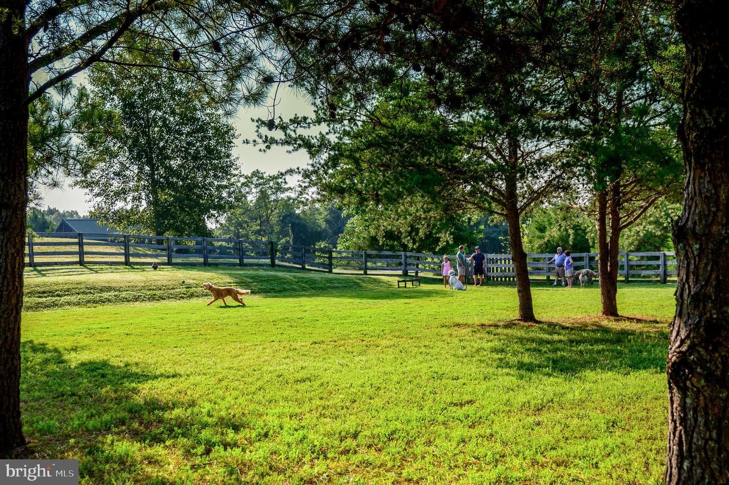 11517 Osprey Trail photo 56