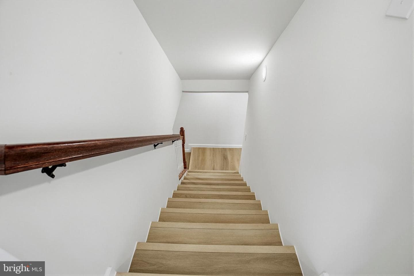 4205 Amelia Drive photo 19