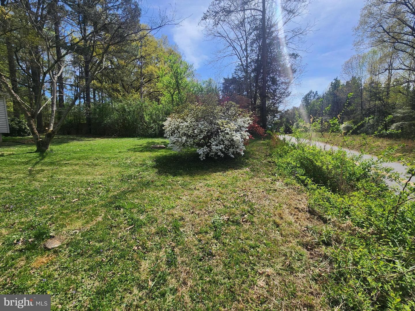 6401 Towles Mill Road photo 2