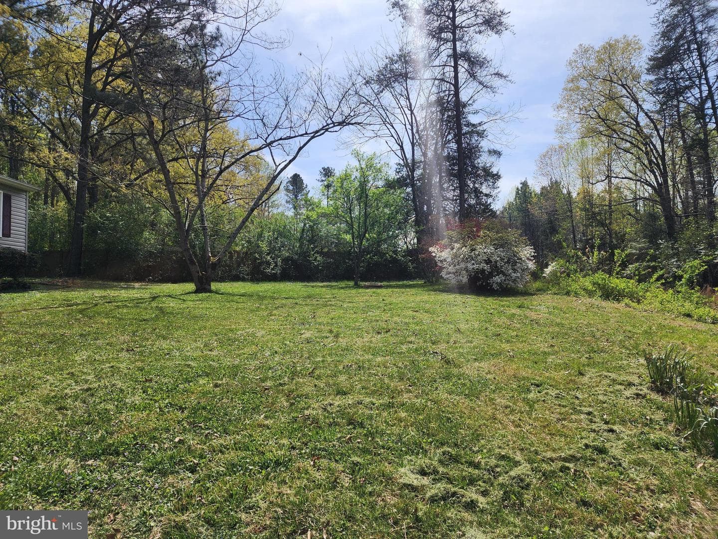 6401 Towles Mill Road photo 7