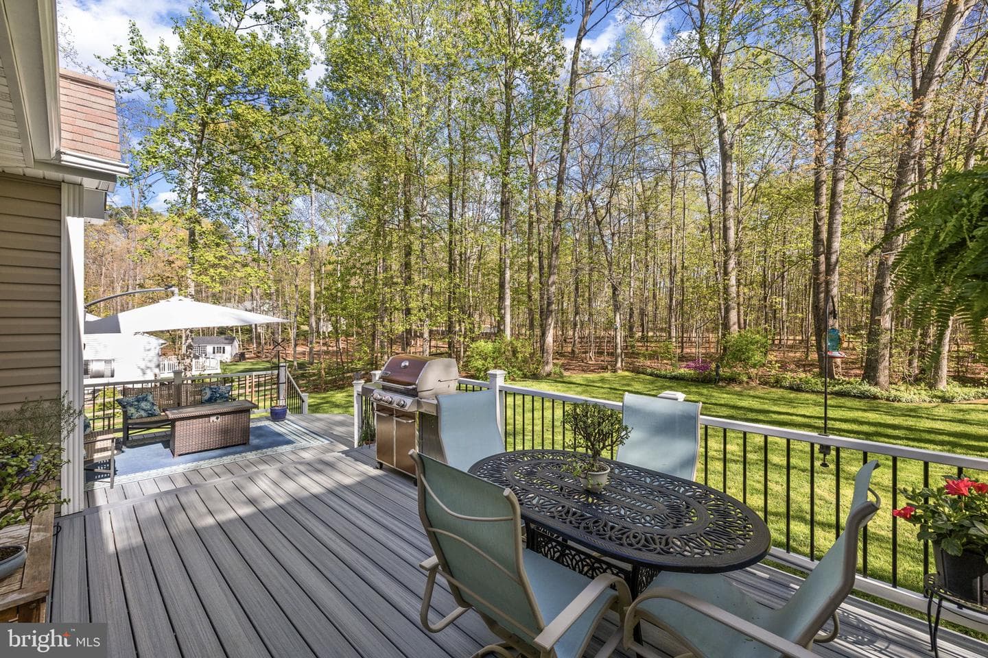 11113 Piney Forest Drive photo 40