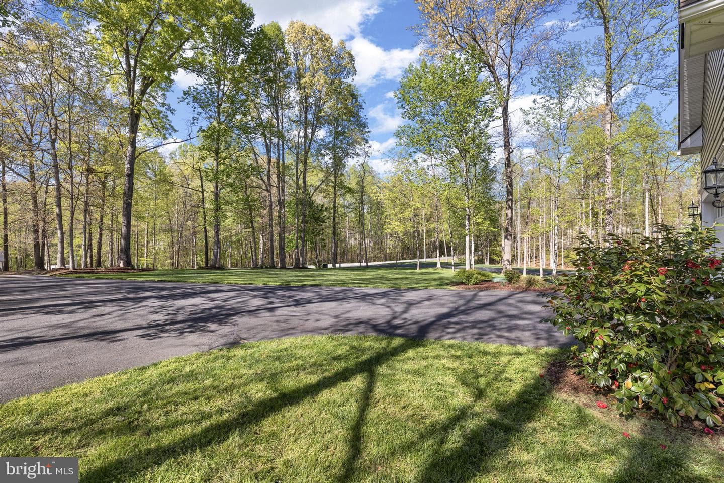 11113 Piney Forest Drive photo 45