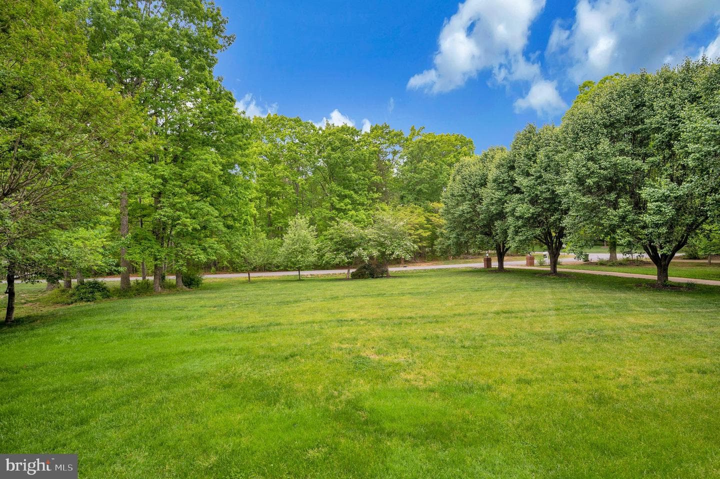 8125 Lee Jackson Circle photo 4
