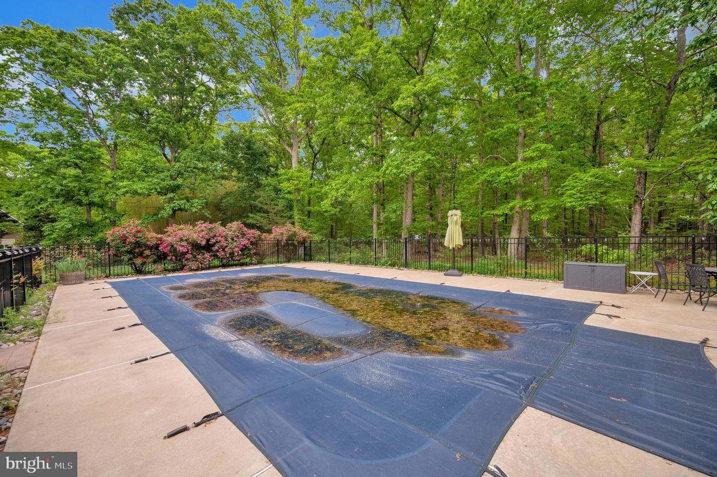 8125 Lee Jackson Circle photo 44