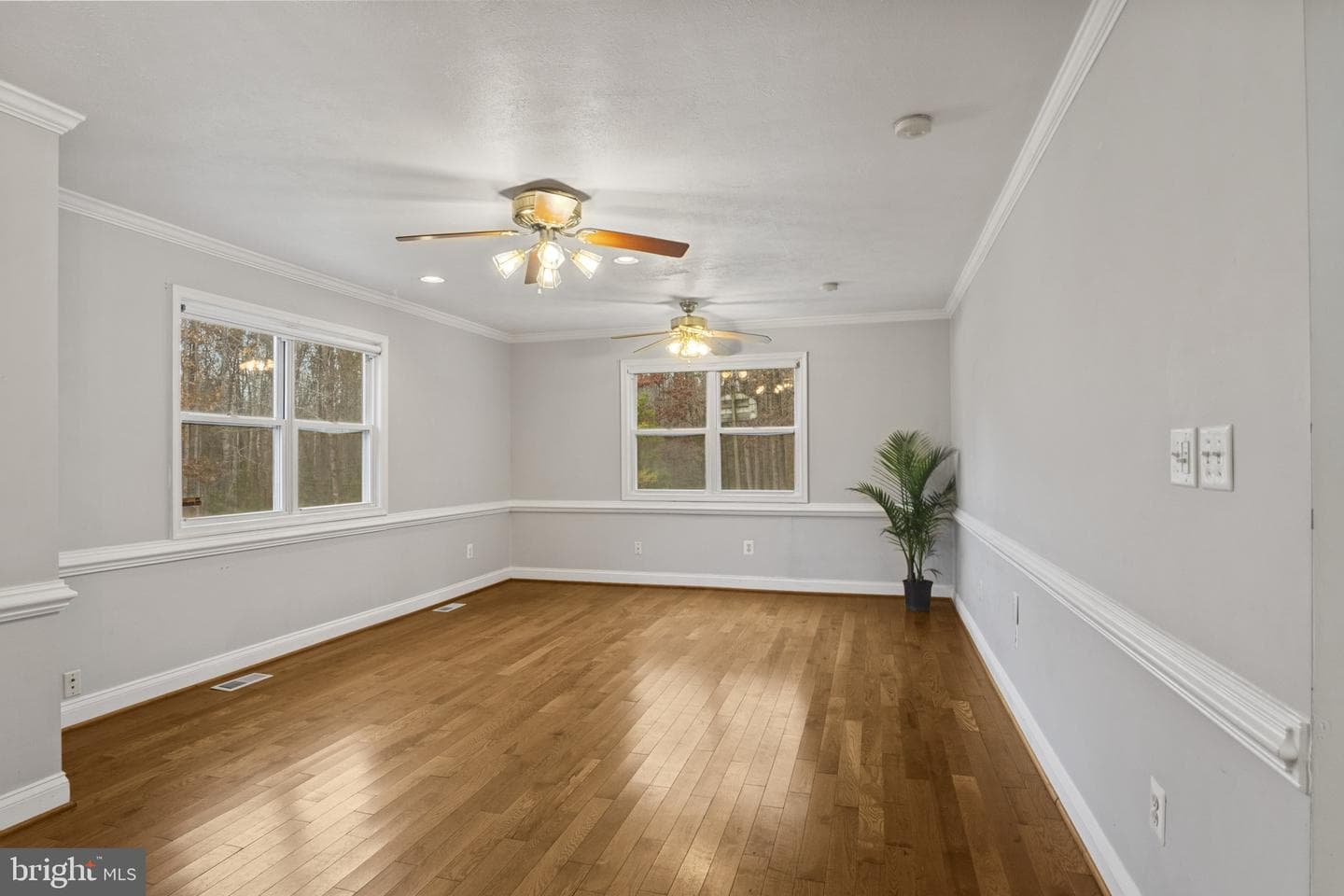 11013 Forest Hollow Drive photo 5