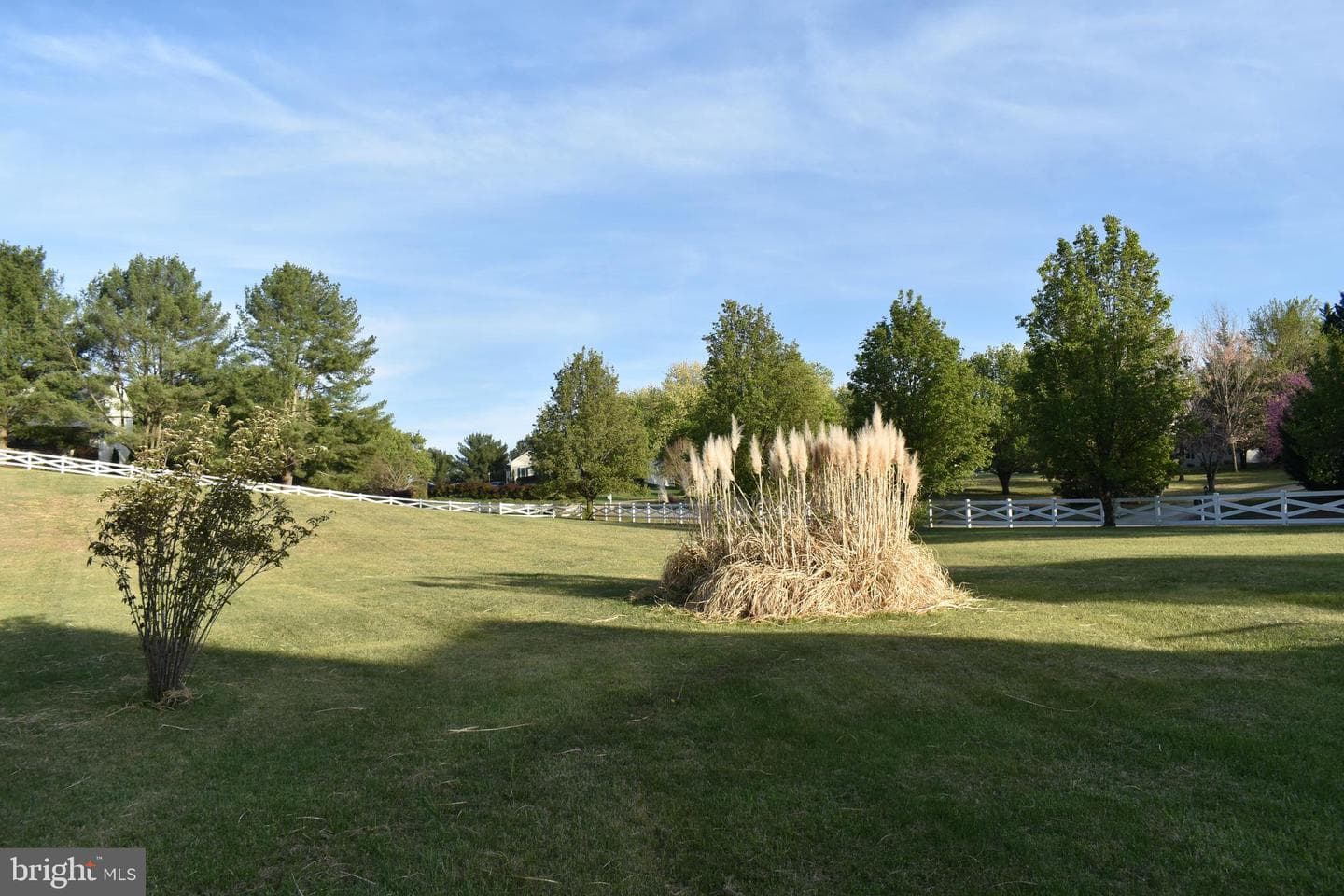 7211 Cattail Court photo 2