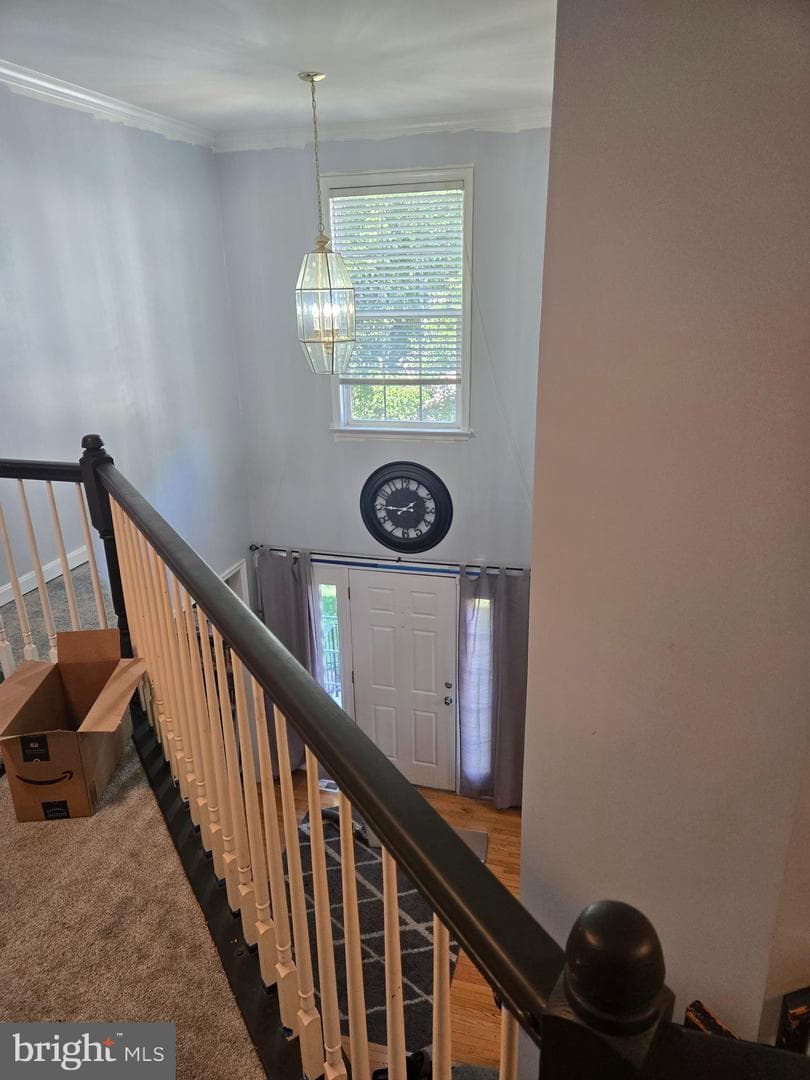 10409 N Mcclellan Drive photo 3