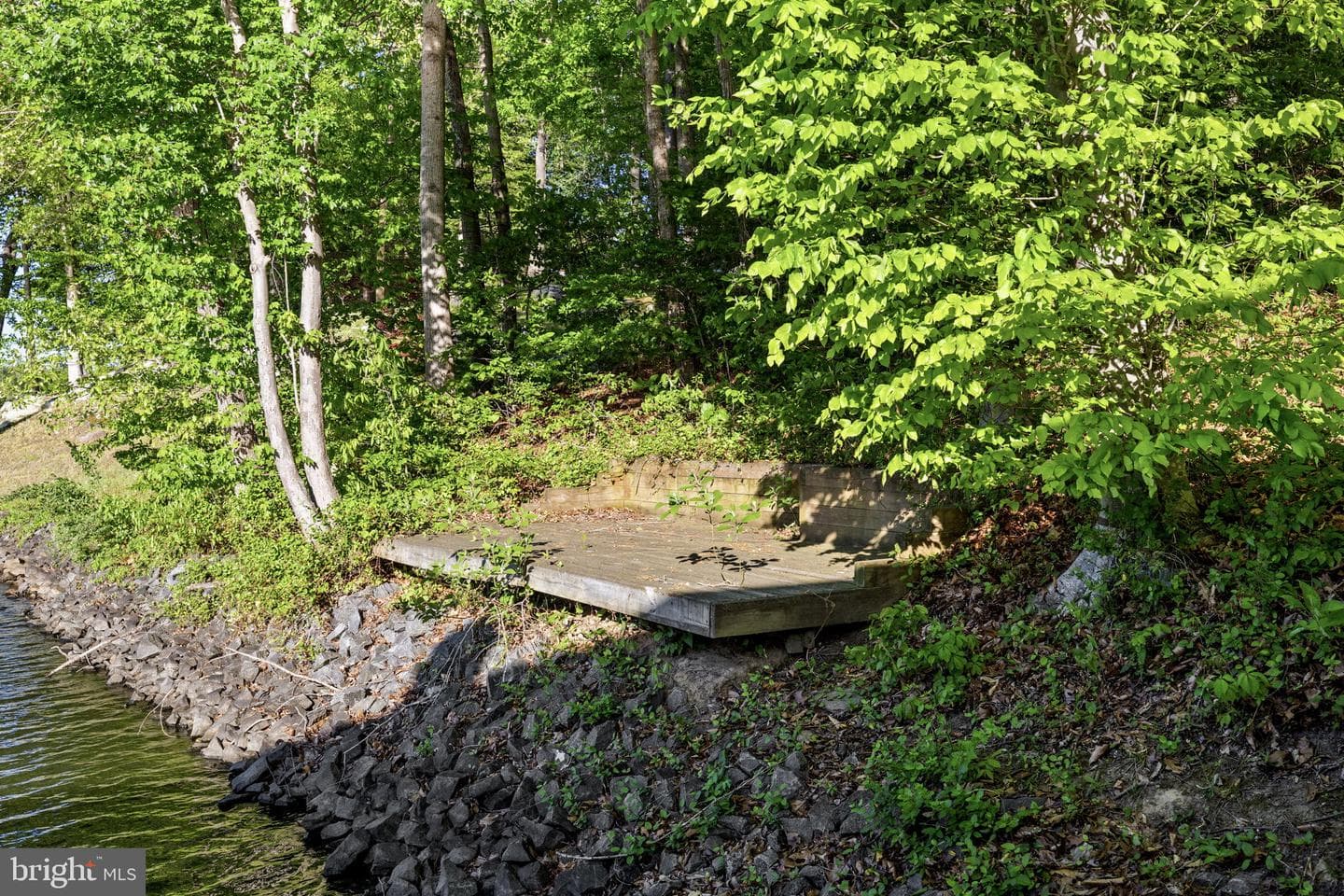 6406 Carter Lane photo 101