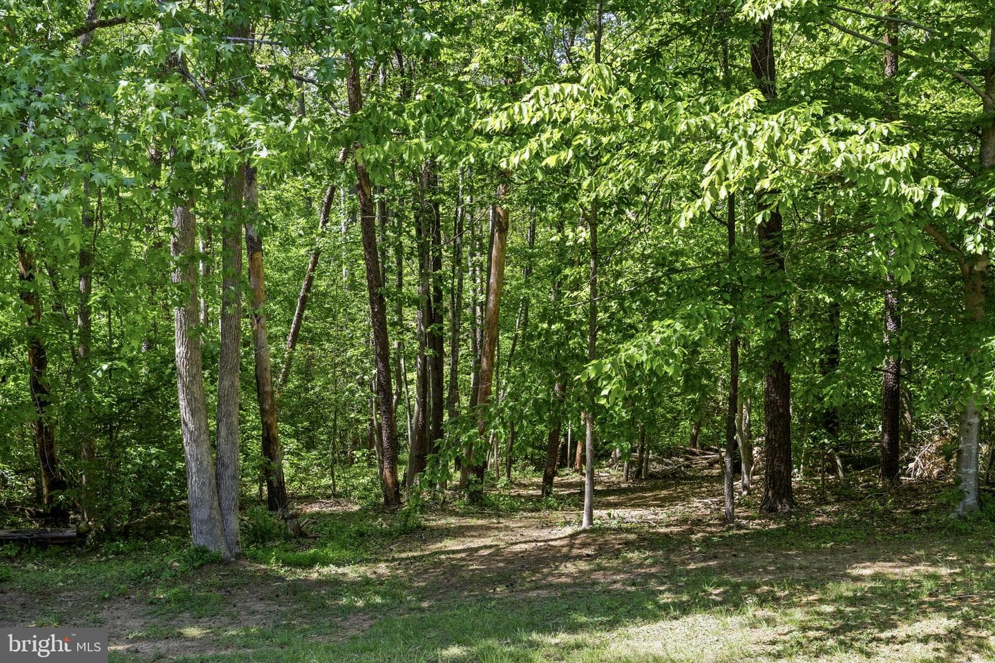 228 Morgan photo 31