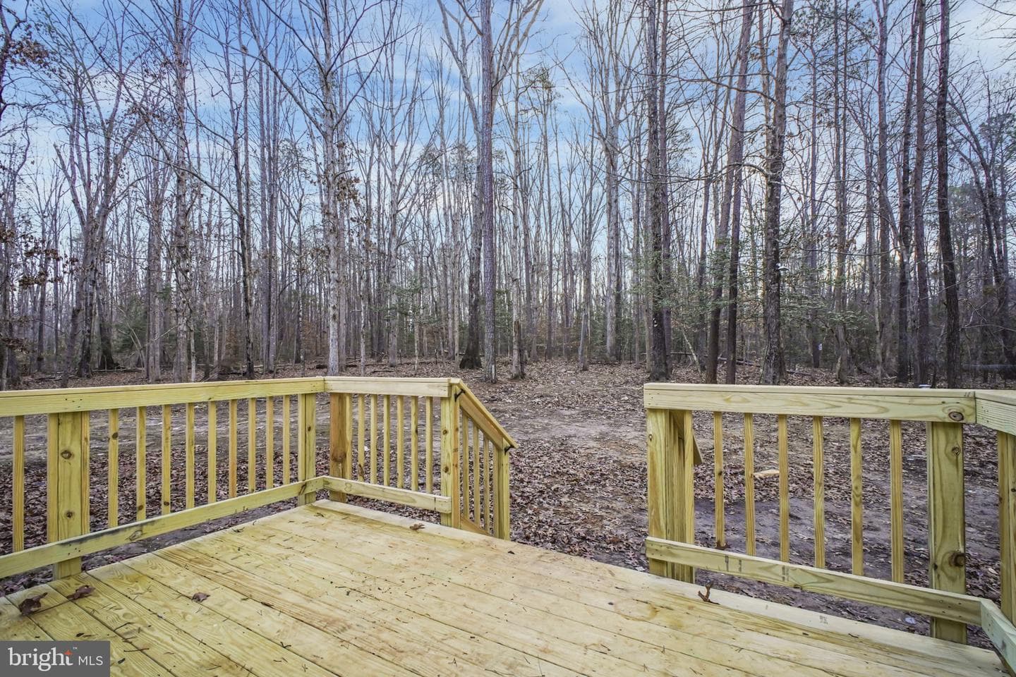 5003 Holly Drive photo 28