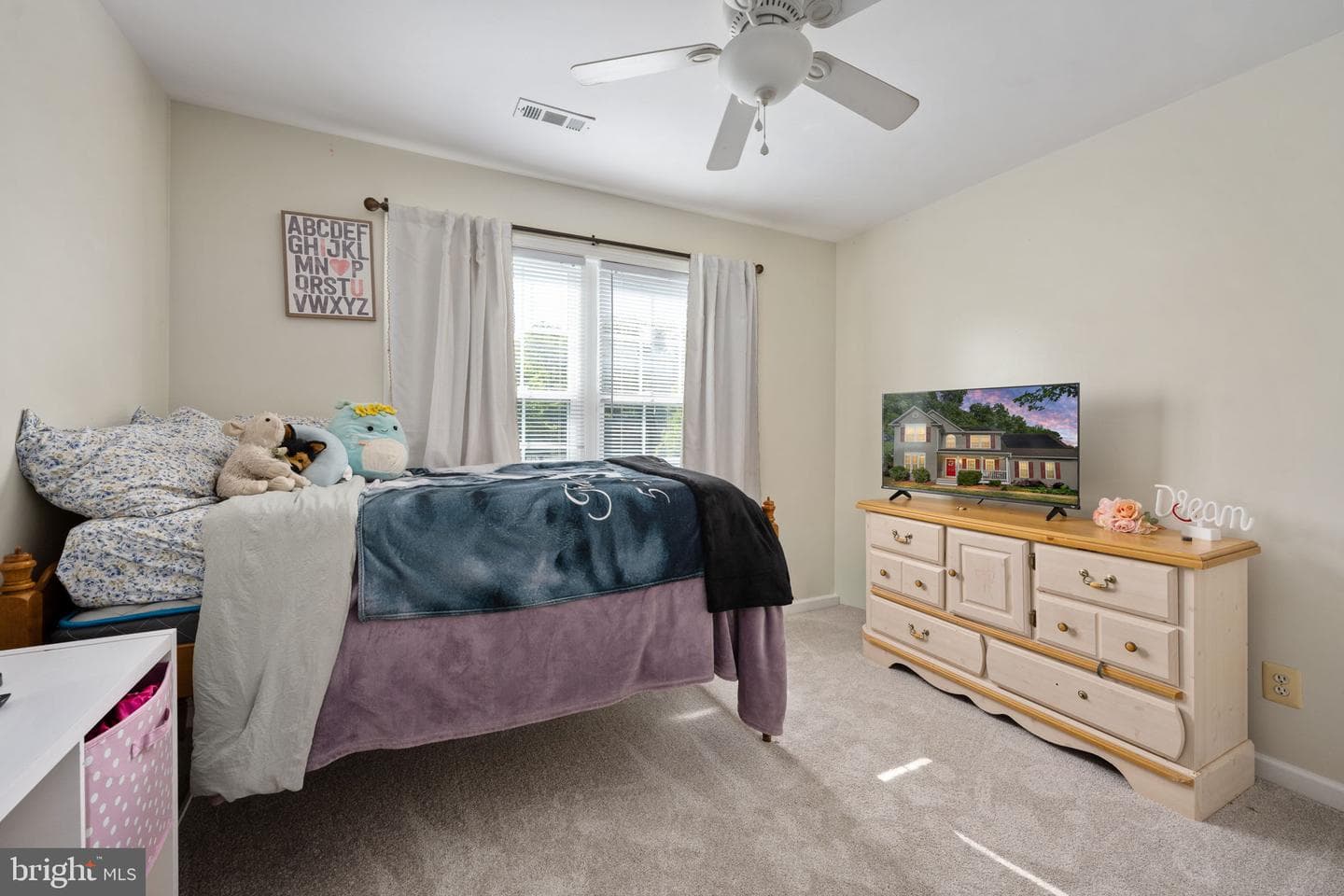 10127 New Scotland Drive photo 32