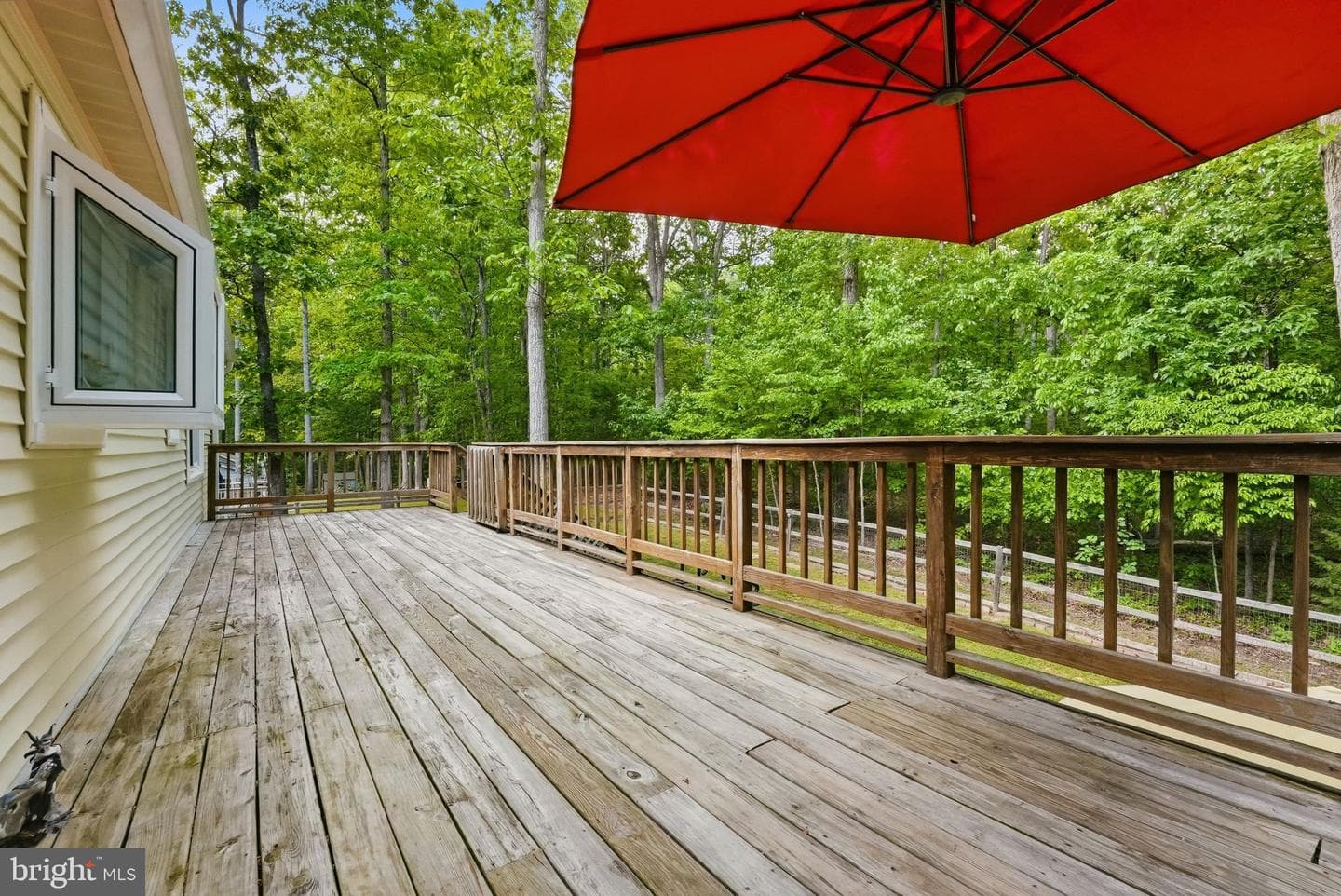 11707 Wilderness Park Drive photo 34