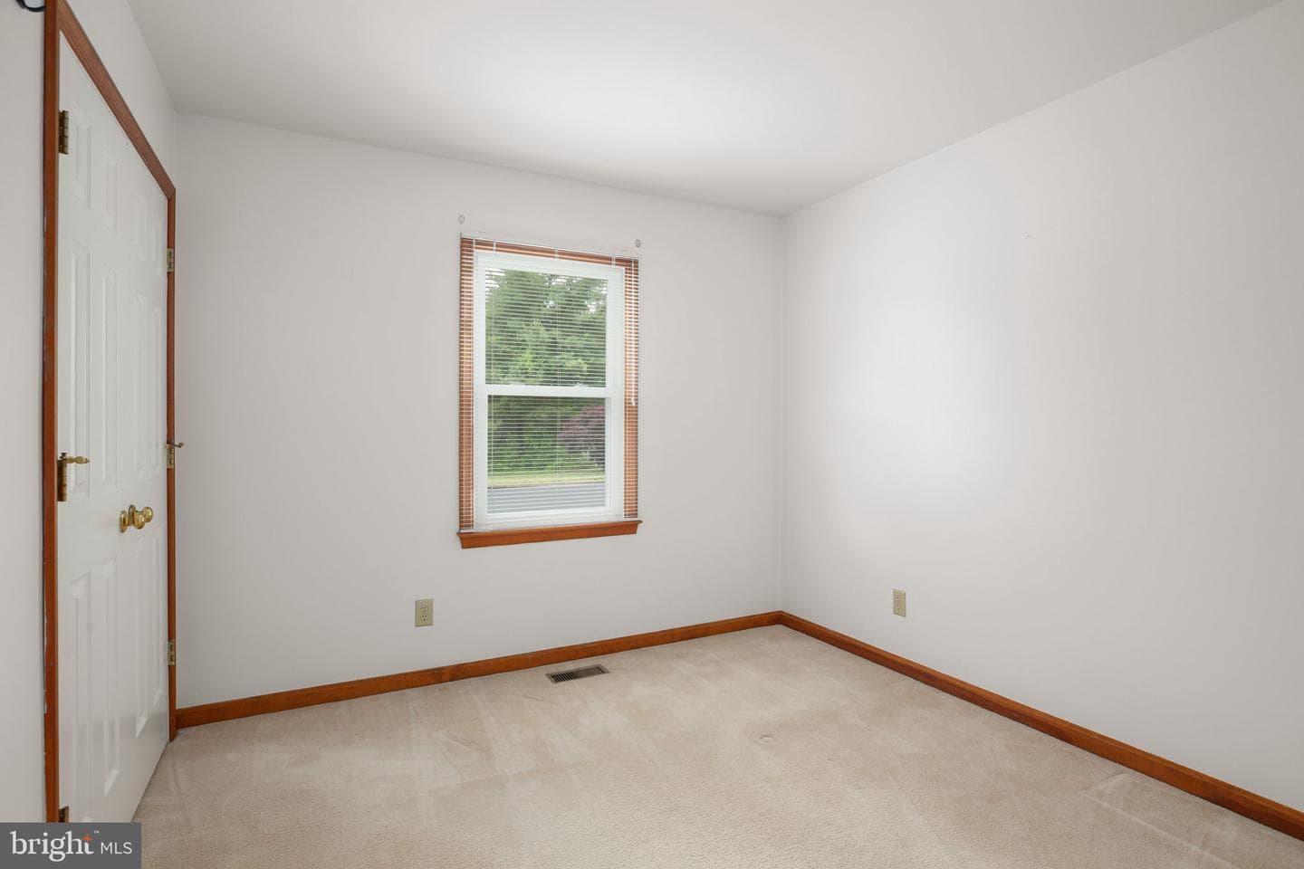 619 Shamrock Drive photo 20