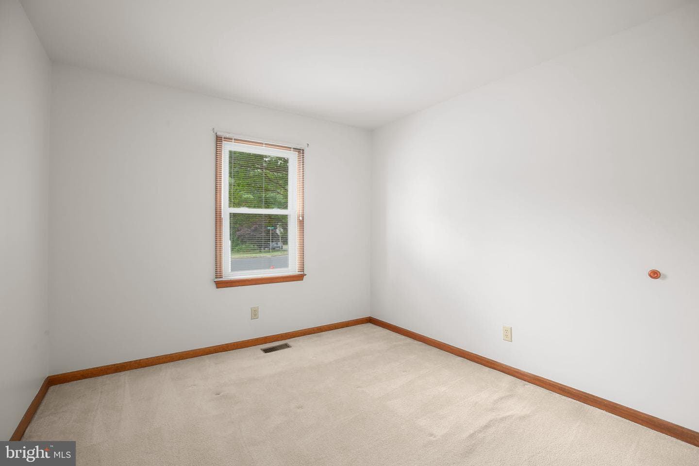 619 Shamrock Drive photo 22
