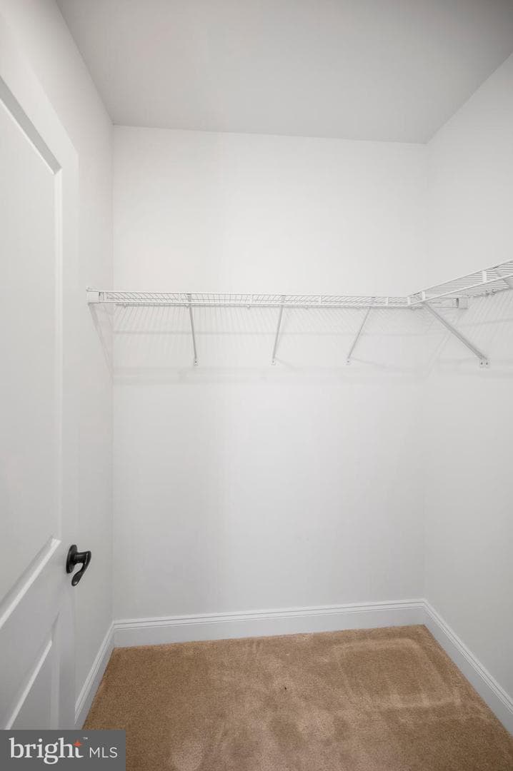 7823 General Wright Drive photo 73