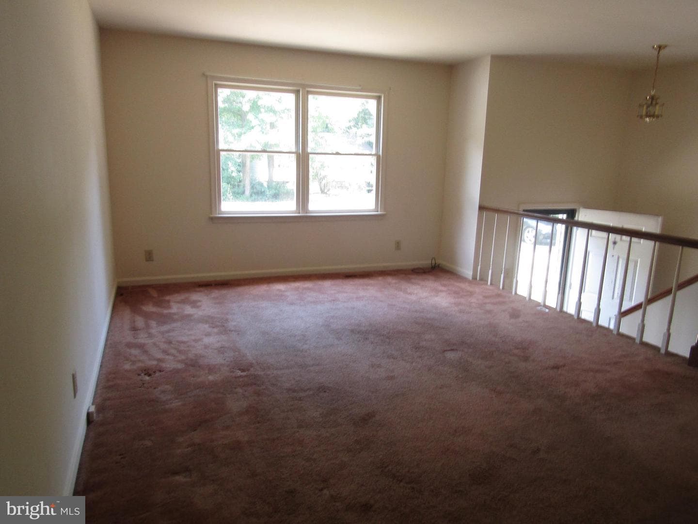 418 Cleveland Court photo 4