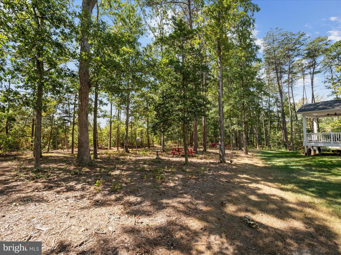 11710 Southview Court photo 67