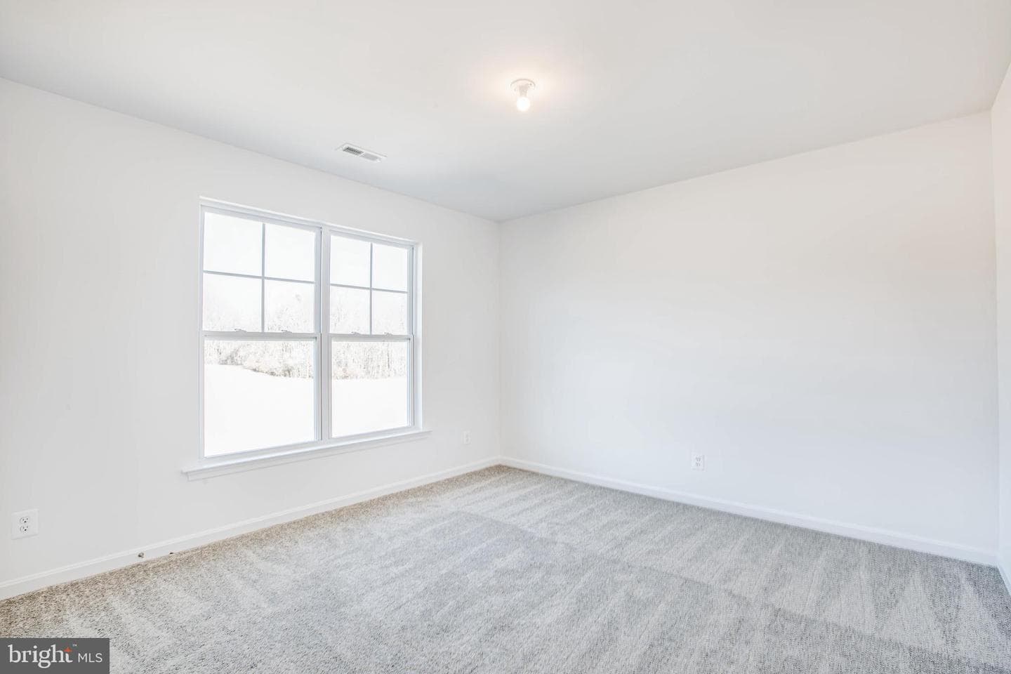 12423 Josephine Lane photo 28