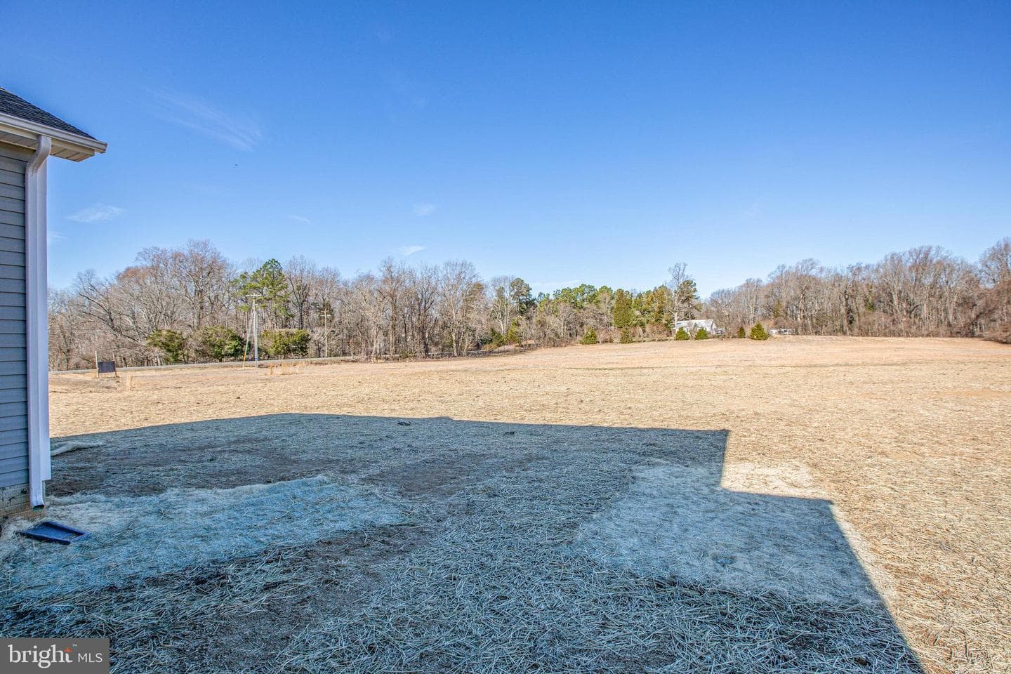 12423 Josephine Lane photo 39