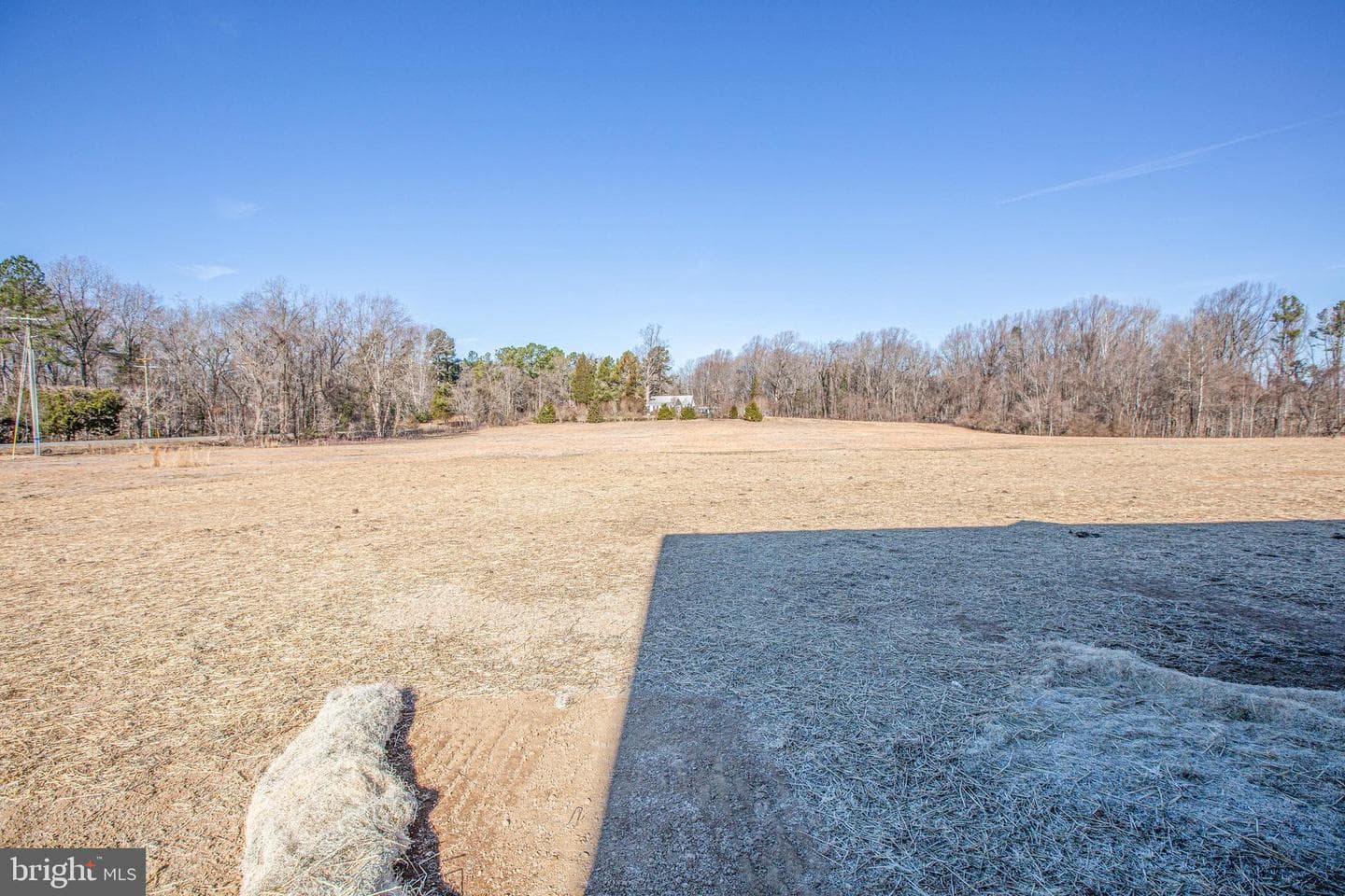 12423 Josephine Lane photo 41
