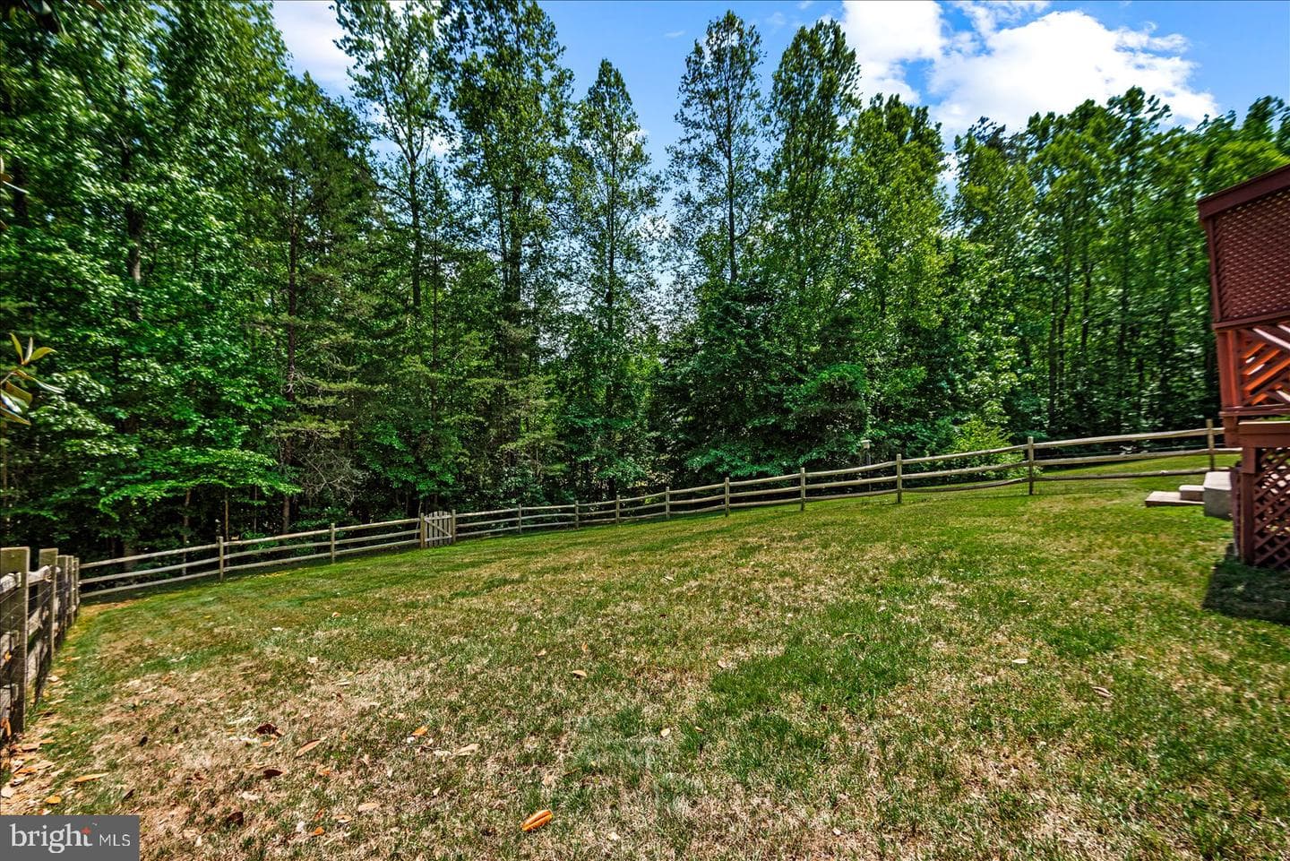 9007 Judiciary Drive photo 53
