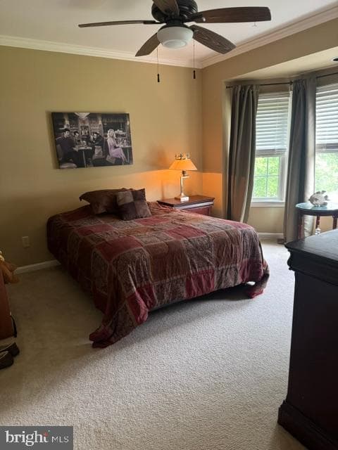 4214 Artillery Ridge Road photo 15