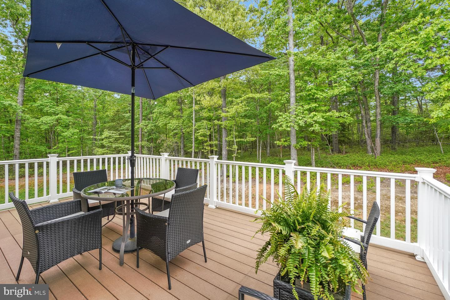 8524 Laroque Run Dr photo 50