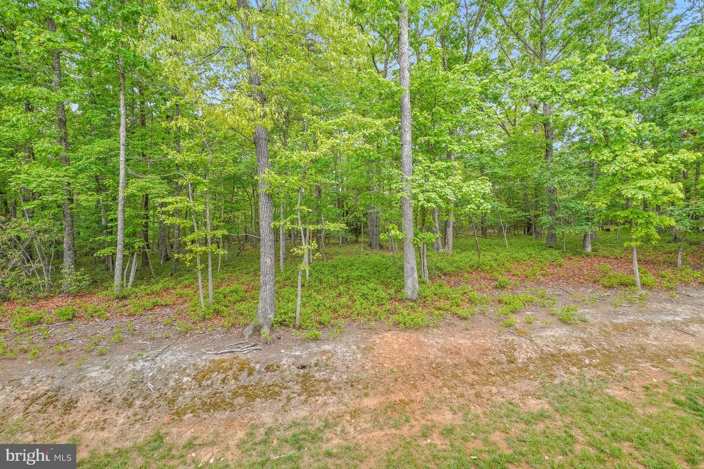 8524 Laroque Run Dr photo 51