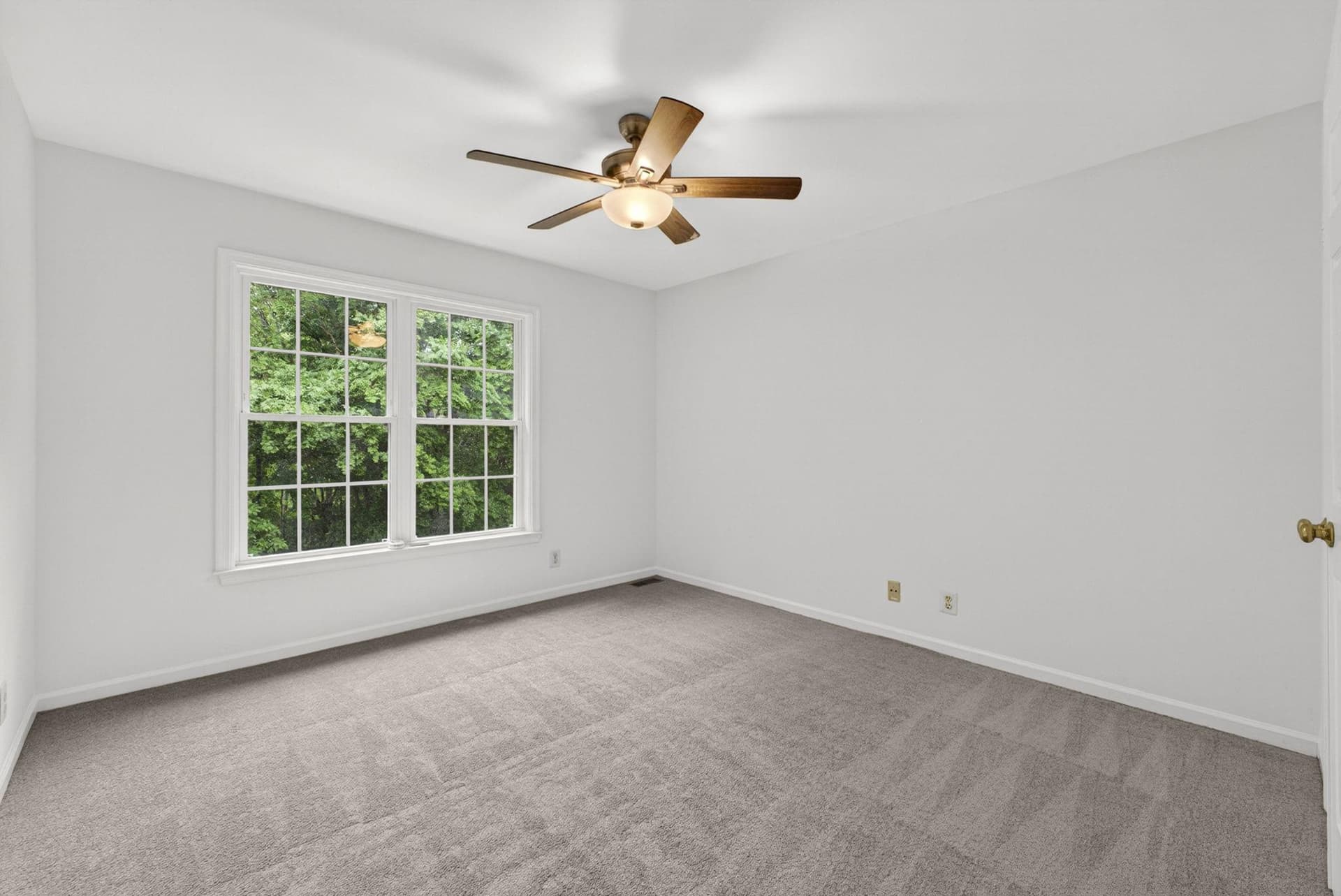 10303 Augusta Court photo 48
