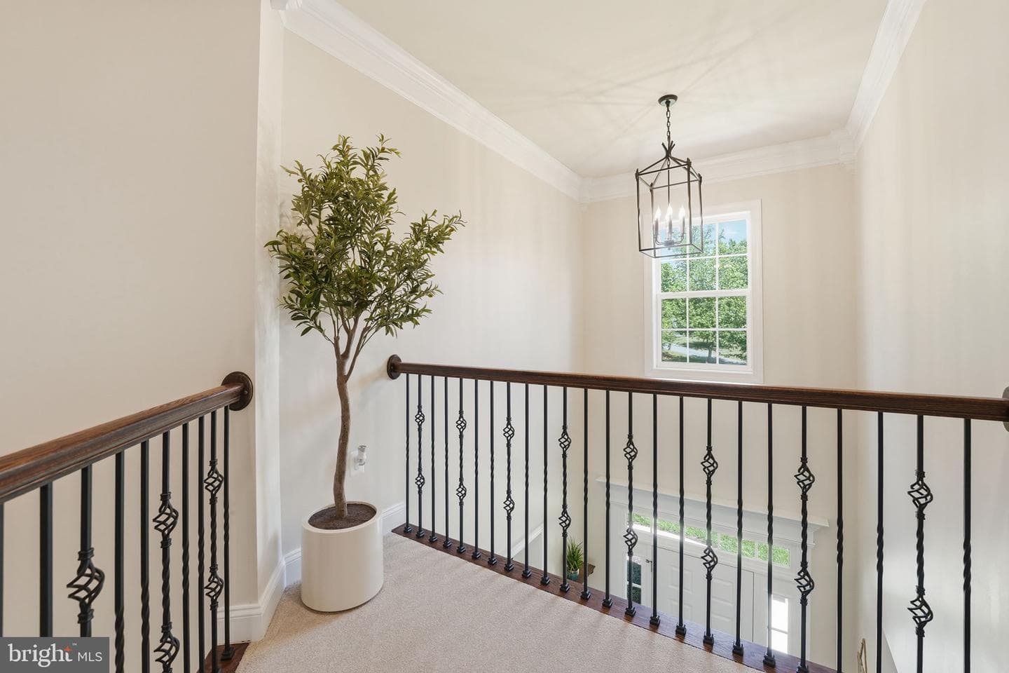 11622 Pine Hollow Lane photo 31