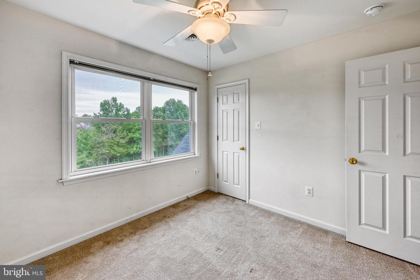 5815 Springfield Farm Lane photo 42