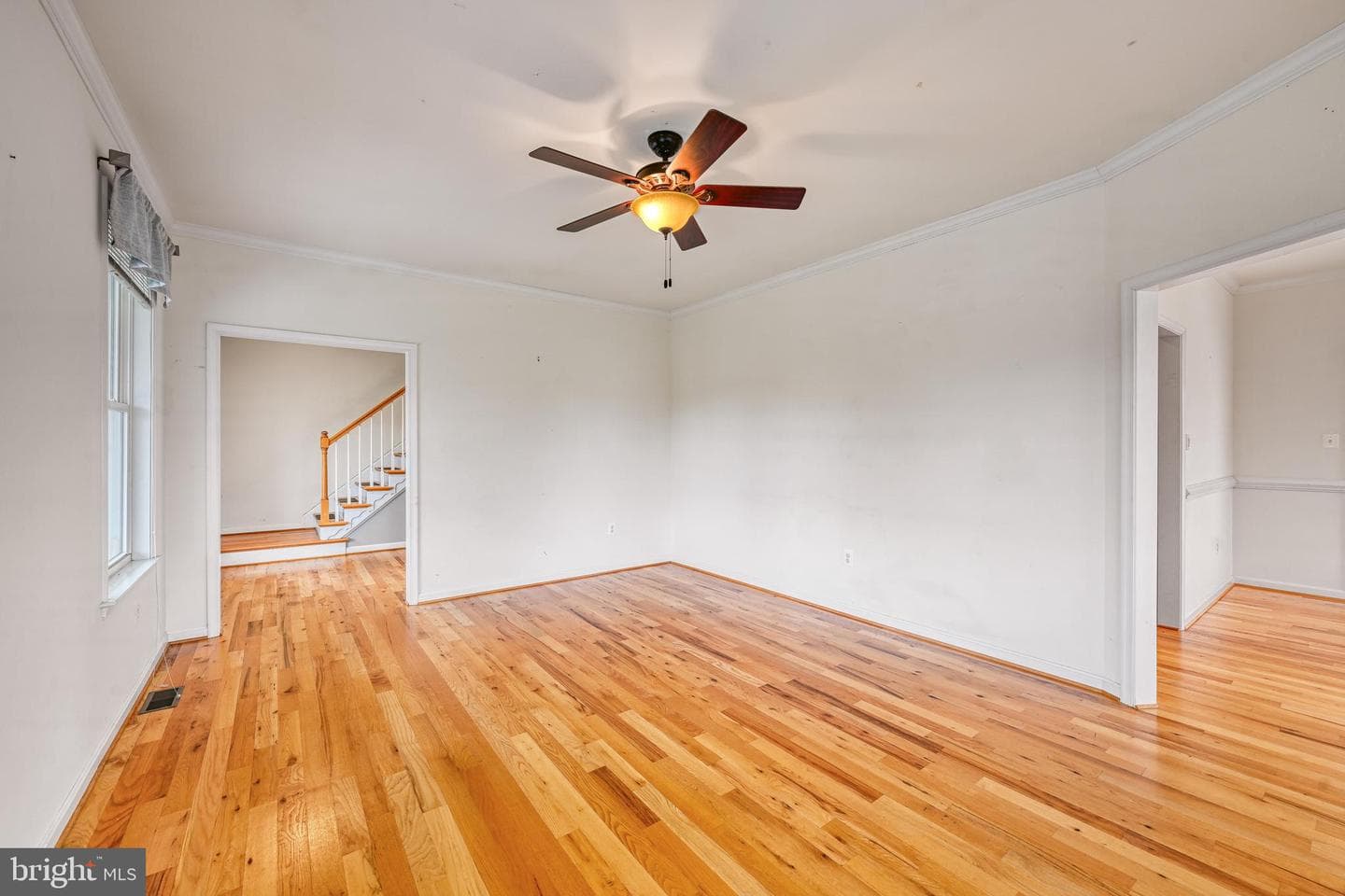 5815 Springfield Farm Lane photo 9