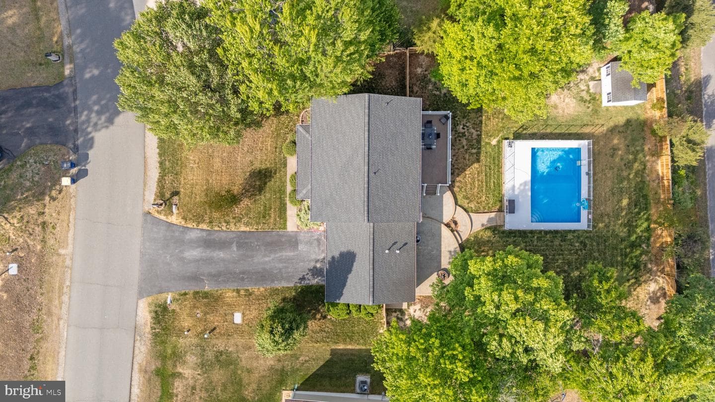 3703 Alberta Drive photo 3