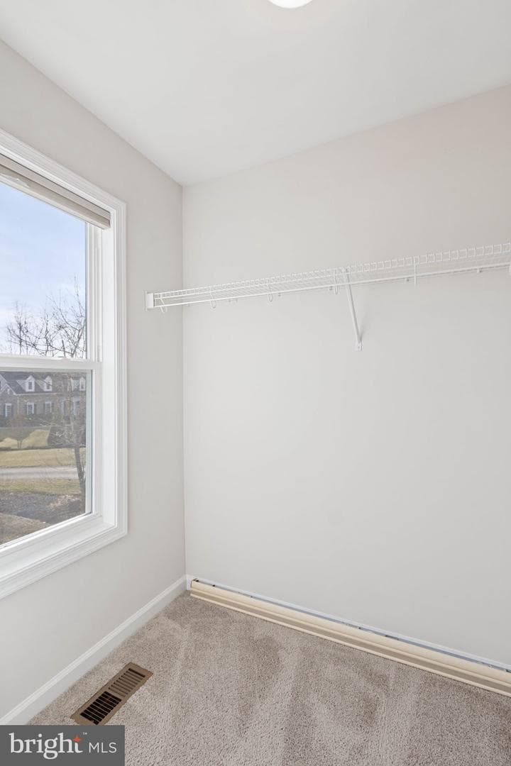 10602 Springvale Lane photo 36