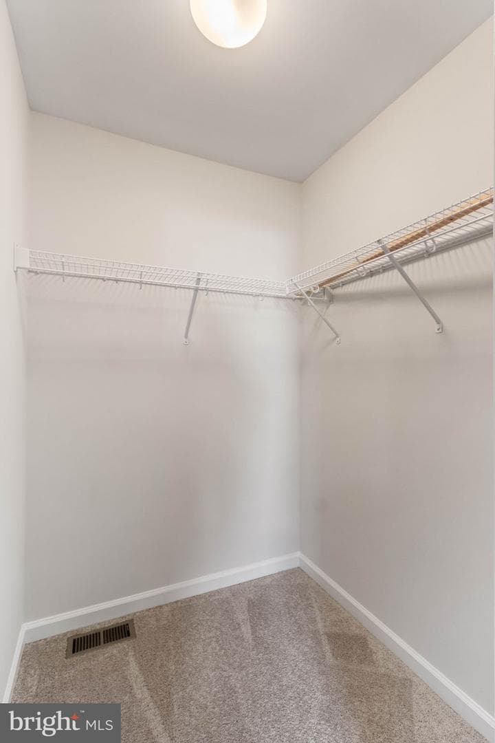 10602 Springvale Lane photo 44