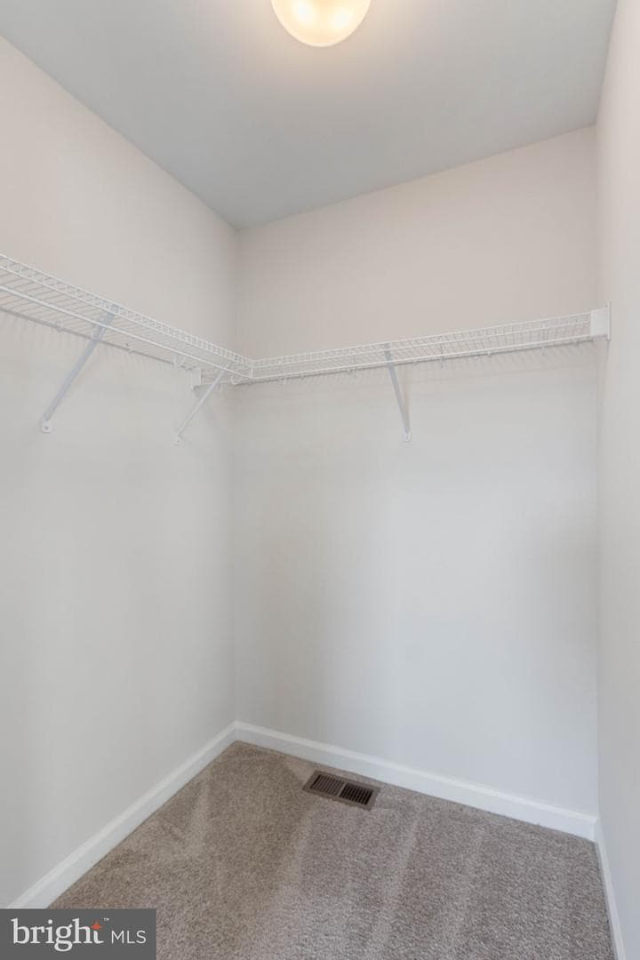 10602 Springvale Lane photo 49