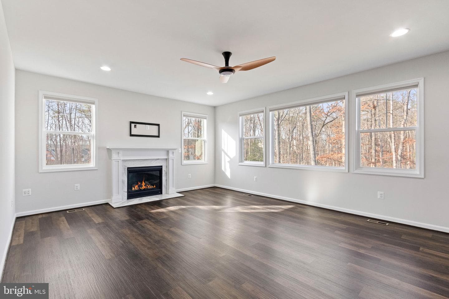 10602 Springvale Lane photo 5