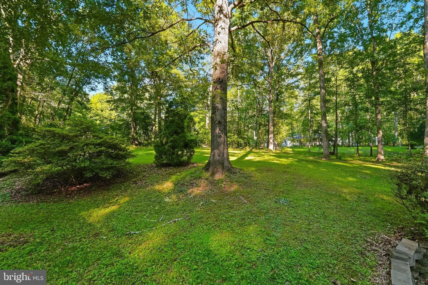 12203 Wilderness Park Drive photo 8