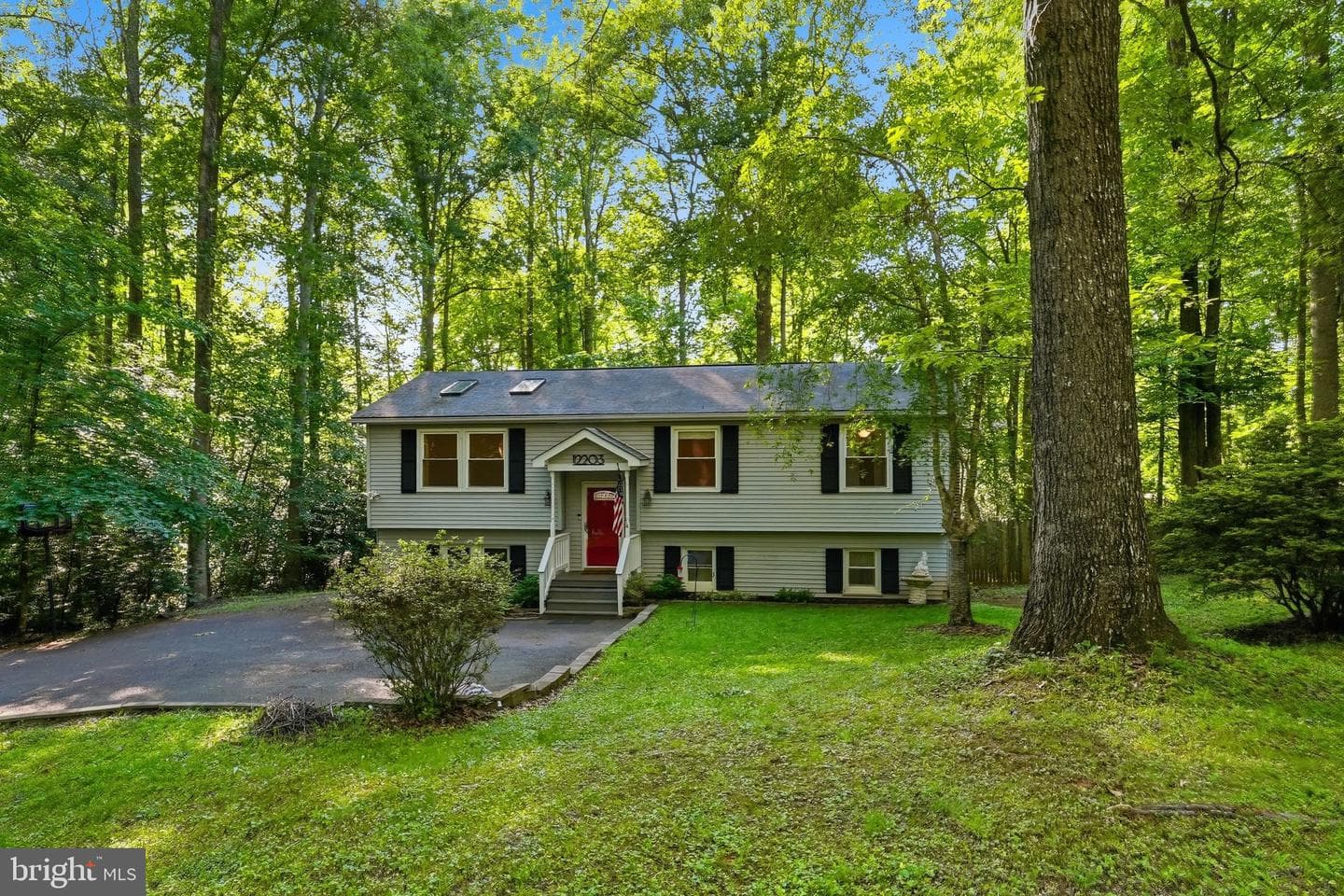 12203 Wilderness Park Drive photo 9